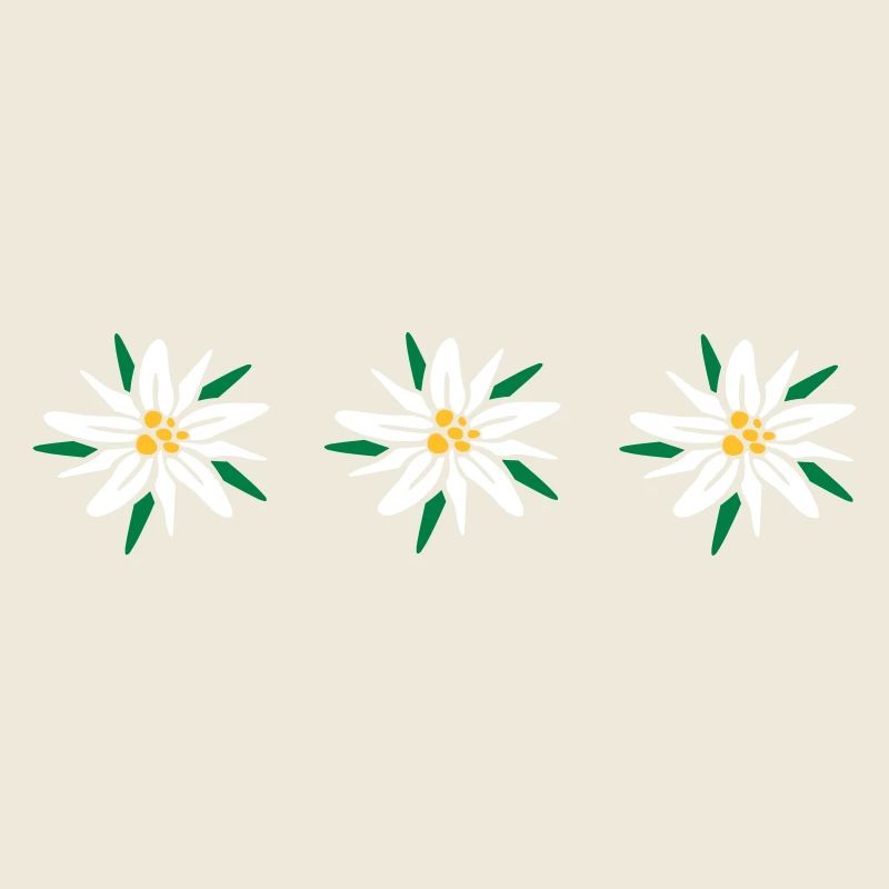 Edelweiss