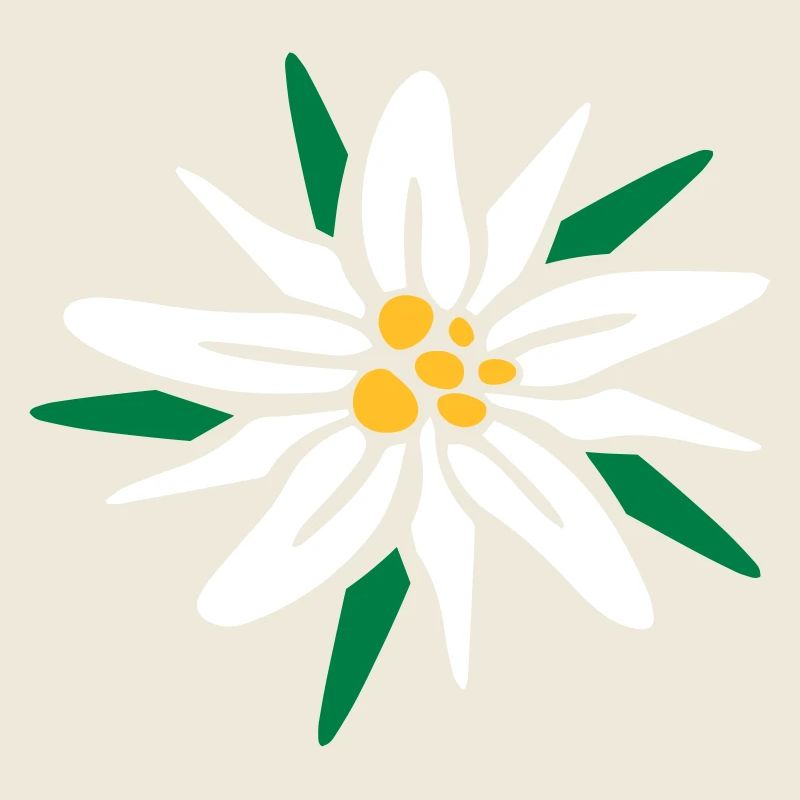 Edelweiss