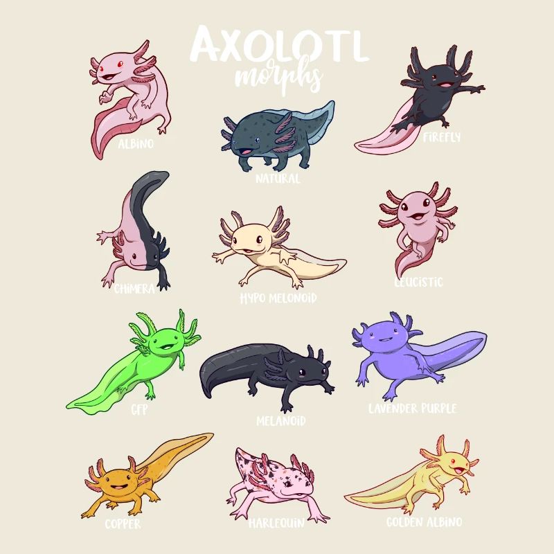 Different Kawaii Axolotl Types
