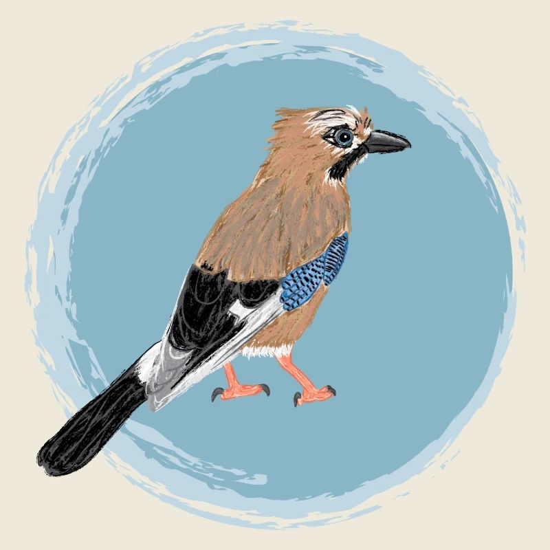 Eichelhäher / Eurasian Jay II