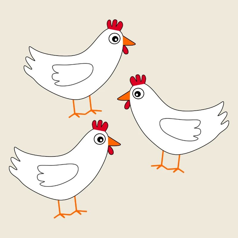Chicken White White Chickens Hens Easter