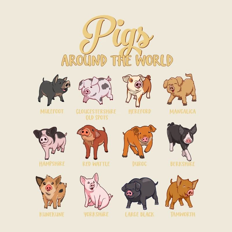 Different Cartoon Pigs
