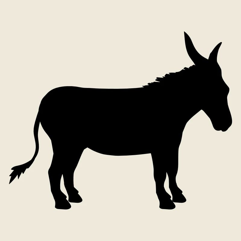 donkey horse pony small packelsel long ears farm
