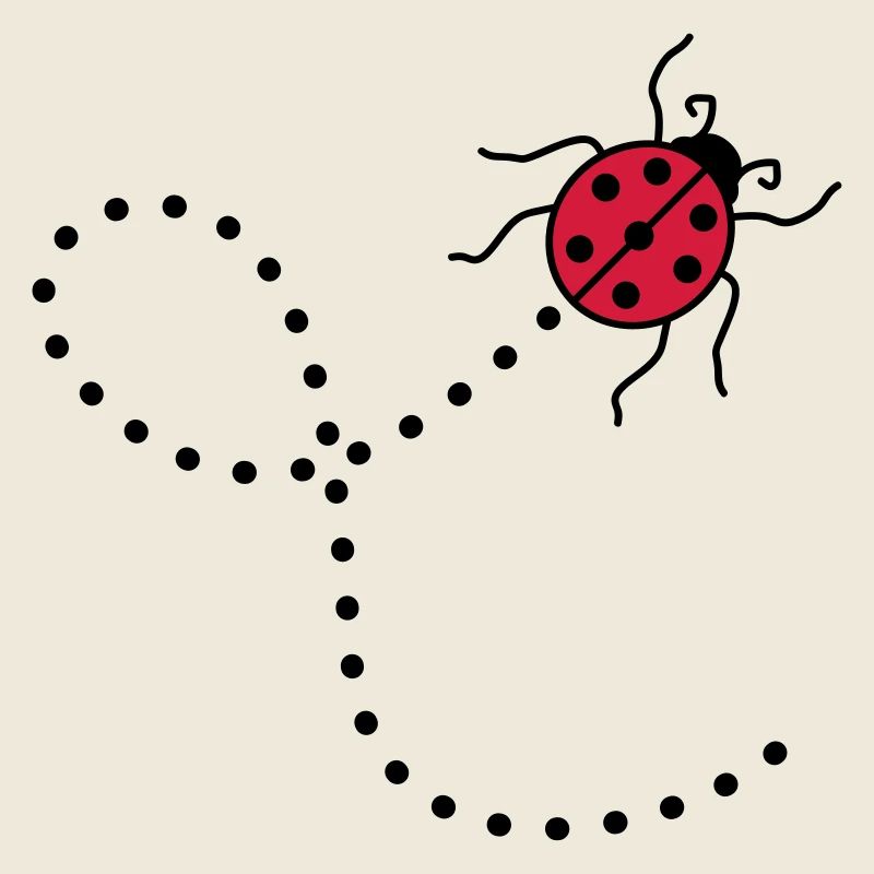 ligne pointillé chemin chemin coccinelle petits sues
