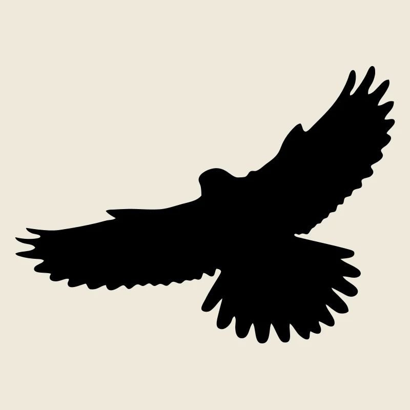 Kestrel Falcon