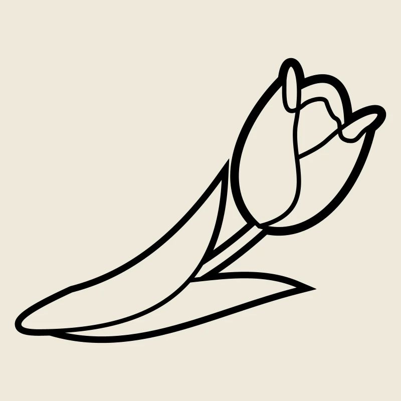 Blumen: Tulpe
