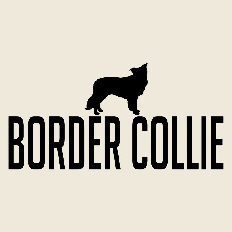 BORDER COLLIE Hunderasse
