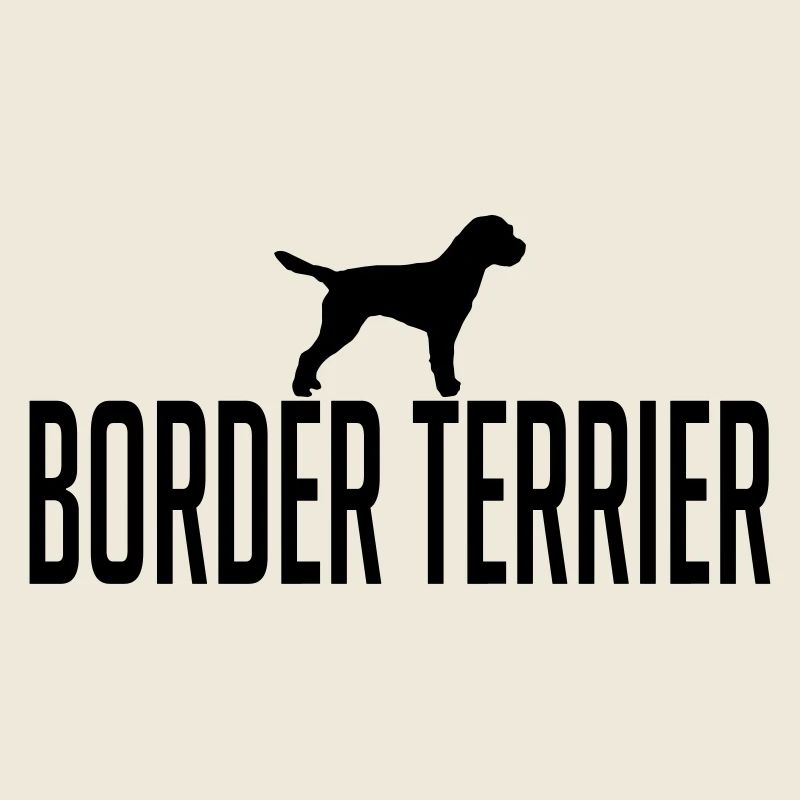 BORDER TERRIER race de chien