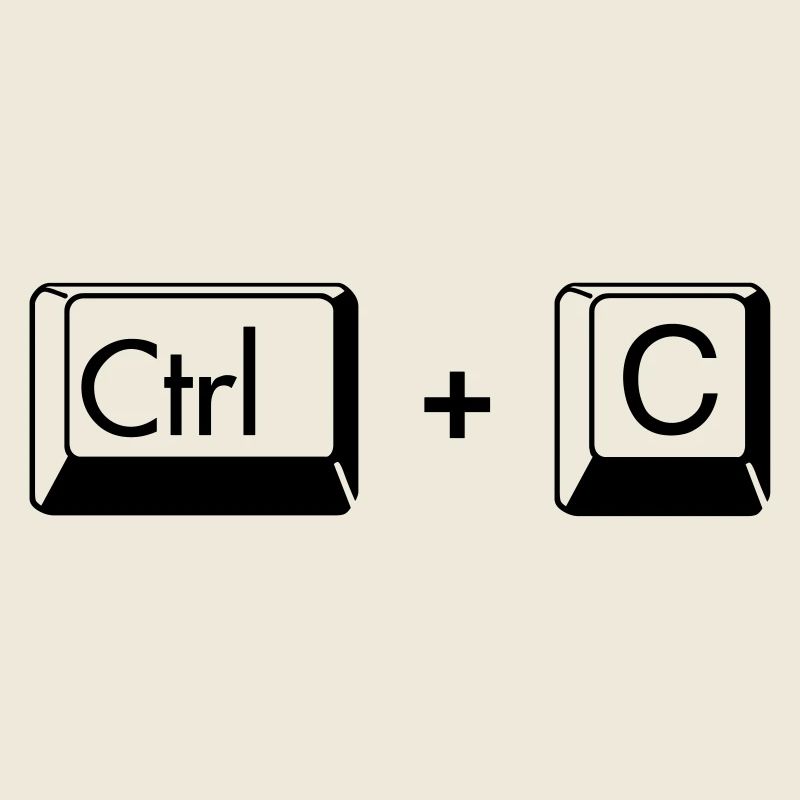 Copy Paste lustiges Geschenk für Zwillige