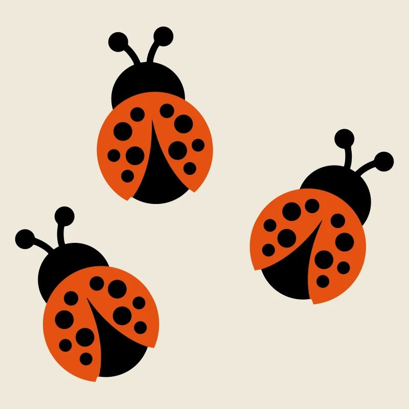 Coccinelle