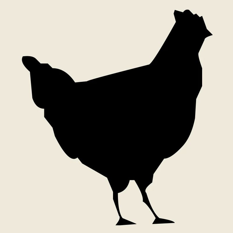 bauernhof hahn huhn vogel