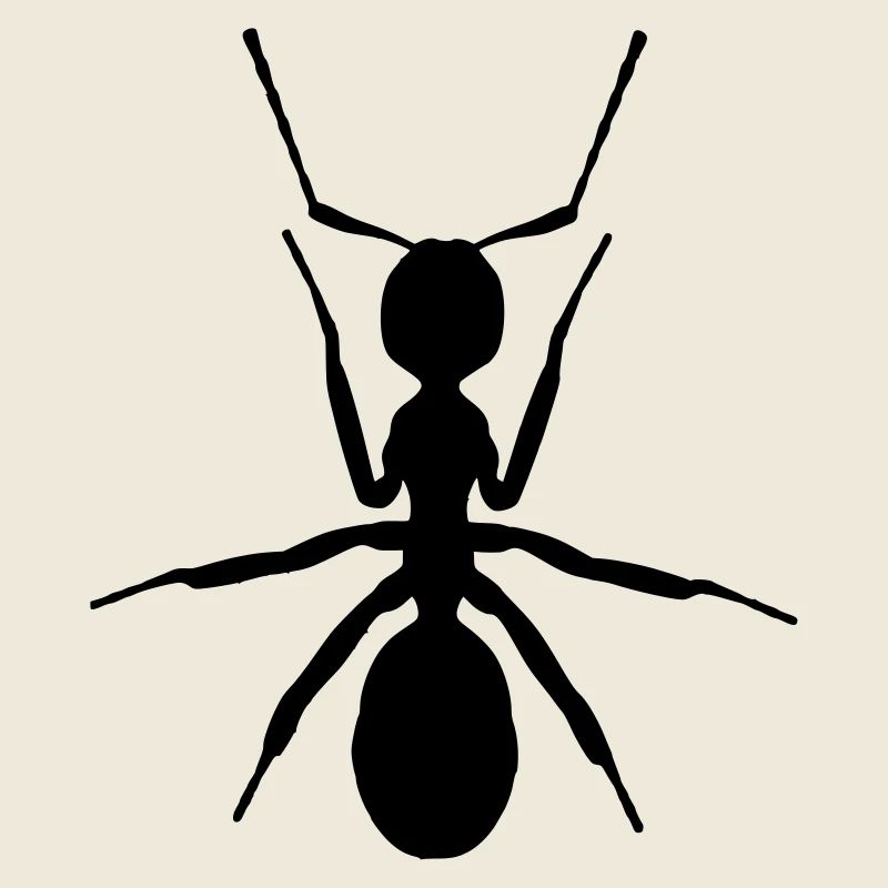 ANT