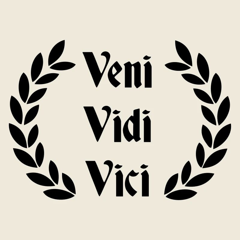 Veni Vidi Vici - Proverbe latin