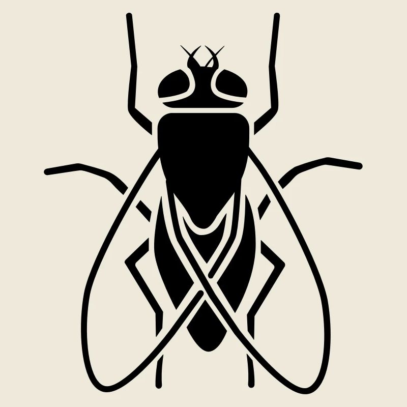 Insect - fly