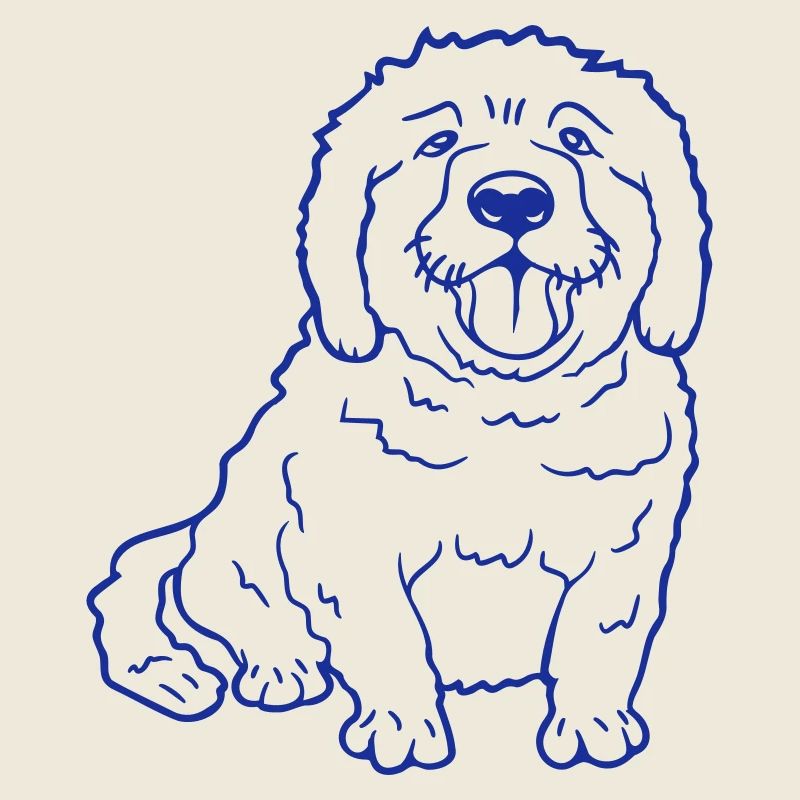 Cher chien tire la langue joyeusement