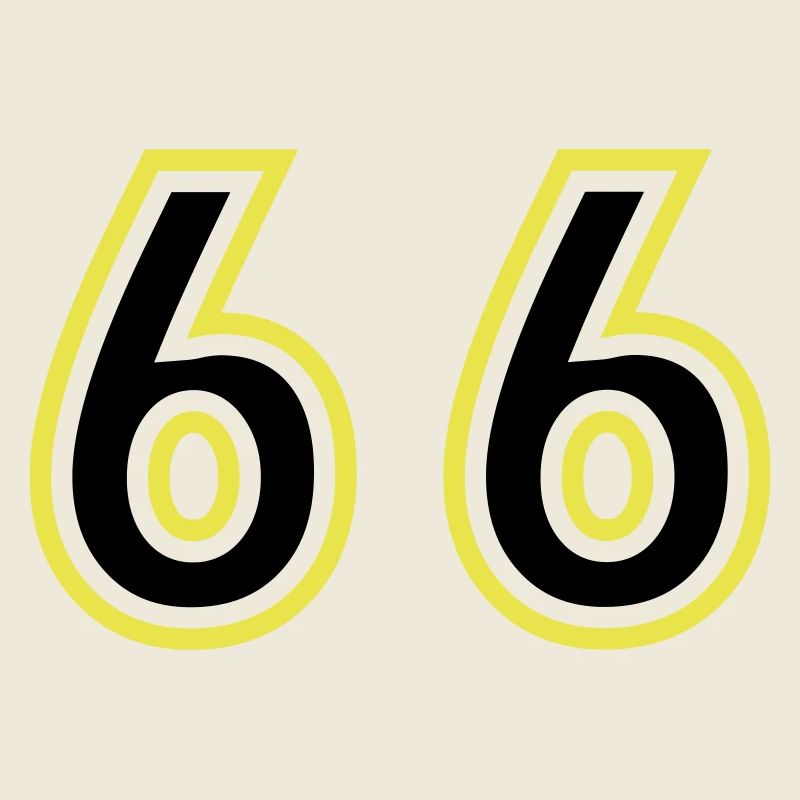 66 Zahl College