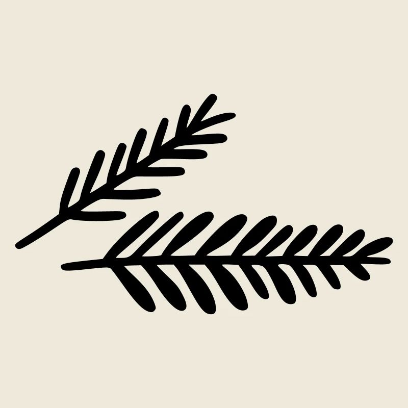 Fir branches