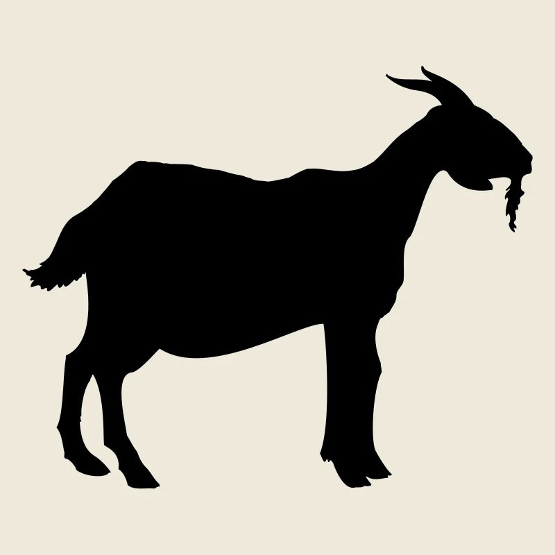 goat animal