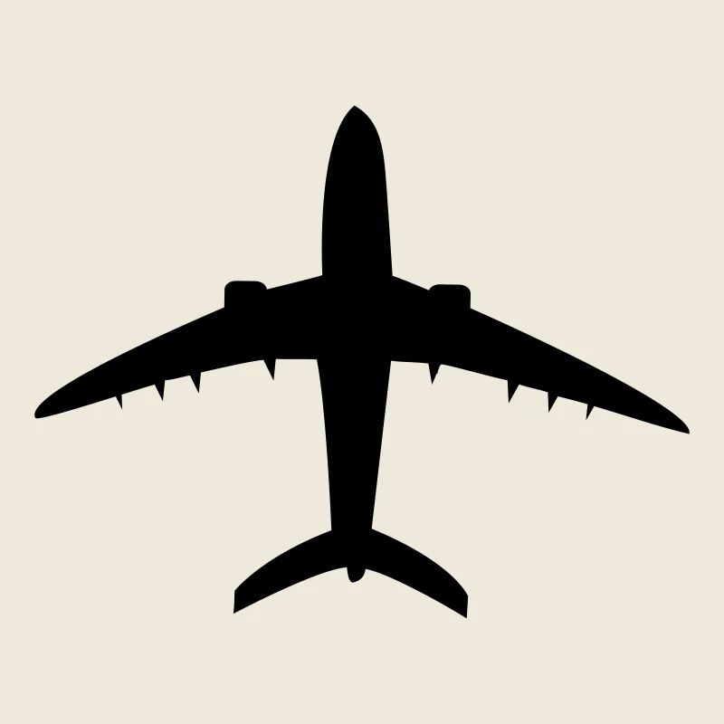 Flugzeug