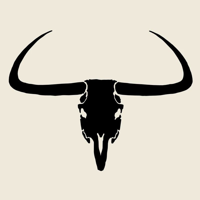 Steer Skull