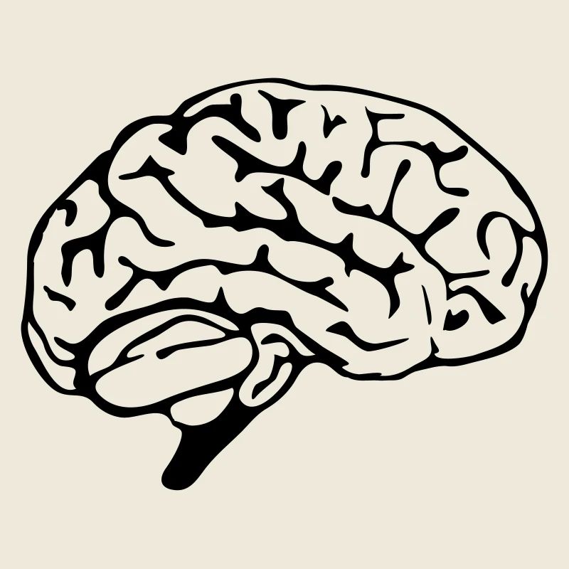 brain design
