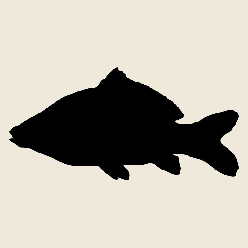 Carp