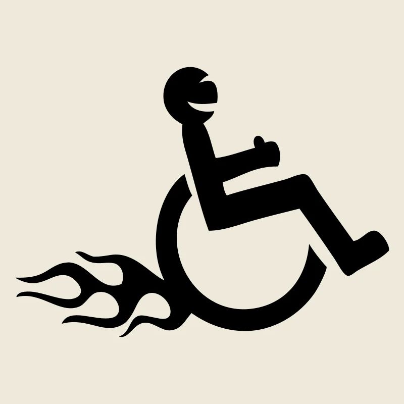 handicap fauteuil roulant fun