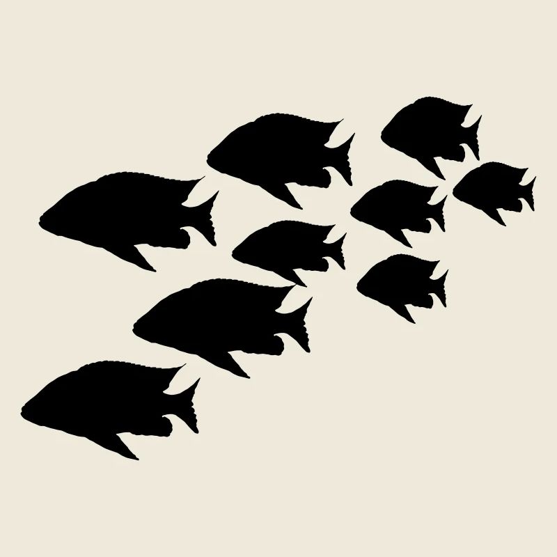 shoal