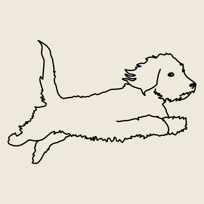 Teckel à poil dur volant