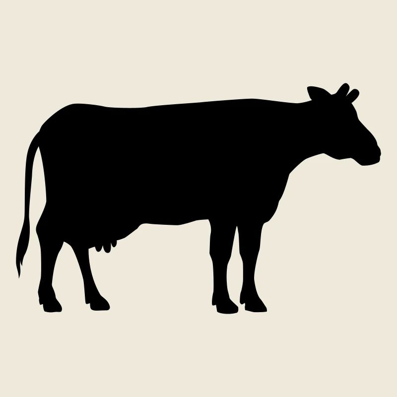 cow animal