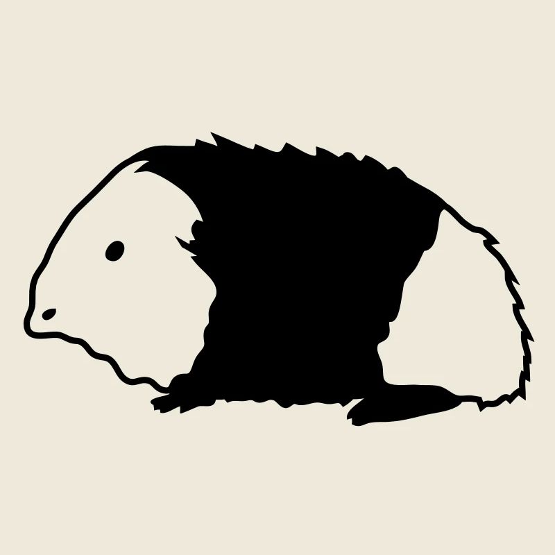 Guinée porc