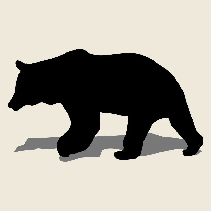bär - braunbär - jagd - jäger
