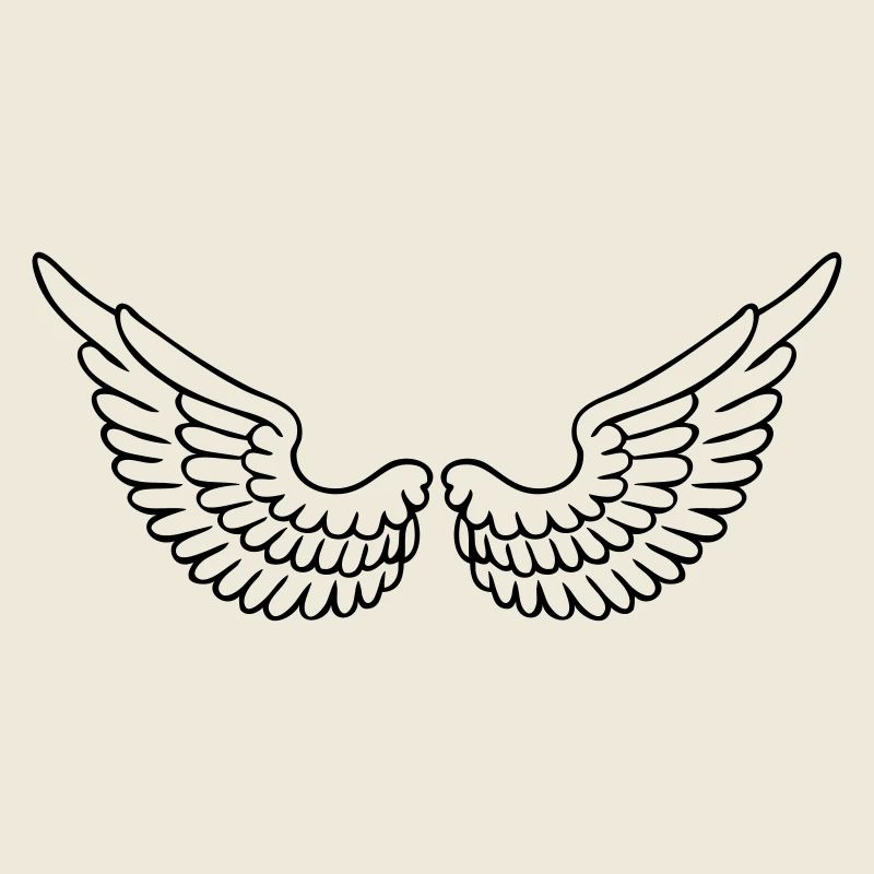 aile d'ange ailes d'oiseau , pilote d'avion