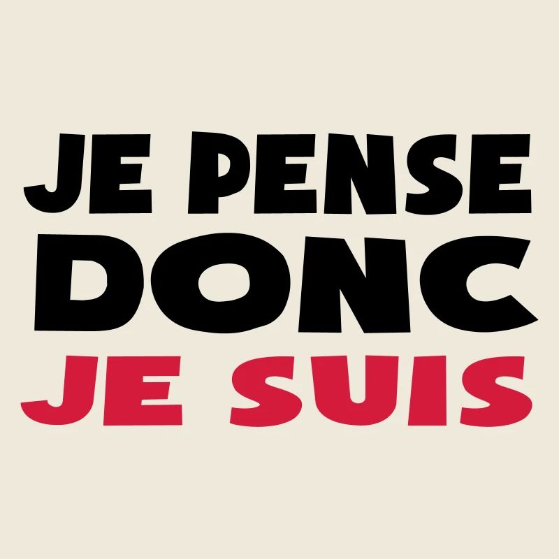 je pense donc je suis doute philosophique