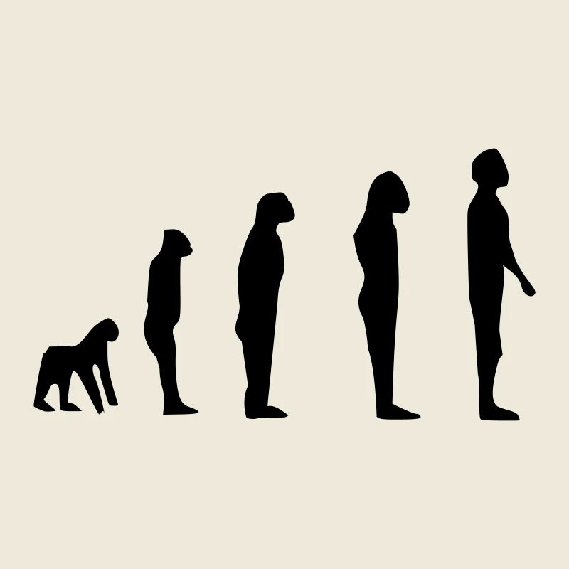 Darwin Evolution