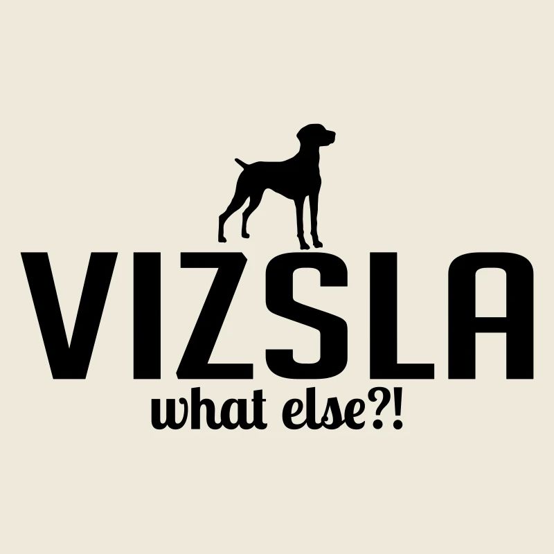 VIZSLA what else