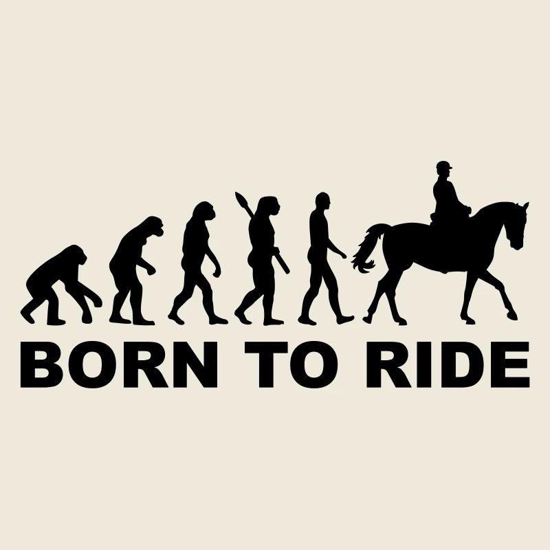 Evolution Reiten