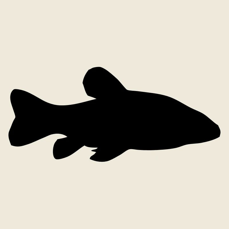 Schleie - Fisch - Fish