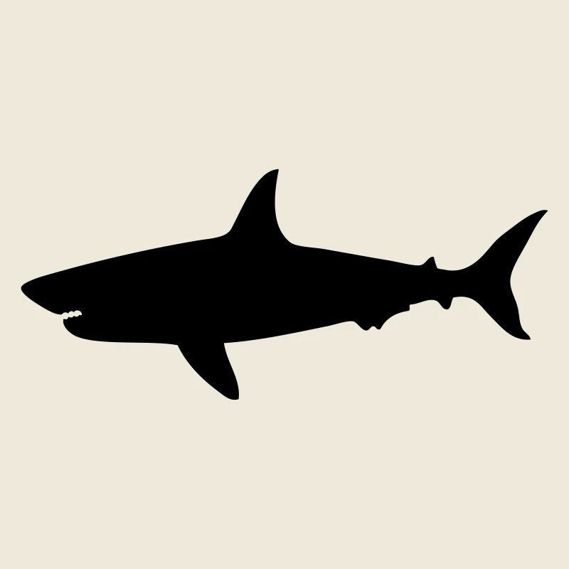 dessin requin squale plongée sous marine
