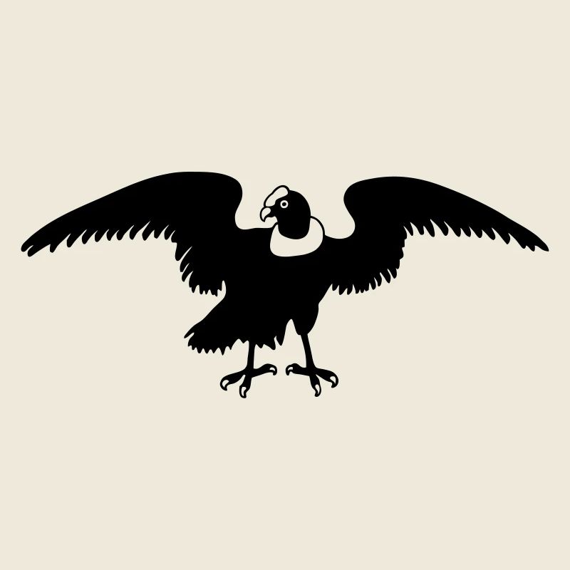 colombia andes condor drawing