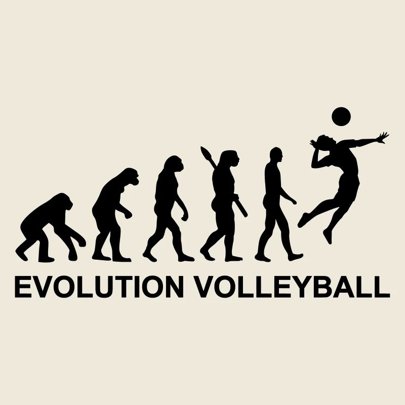 Evolution Volleyball