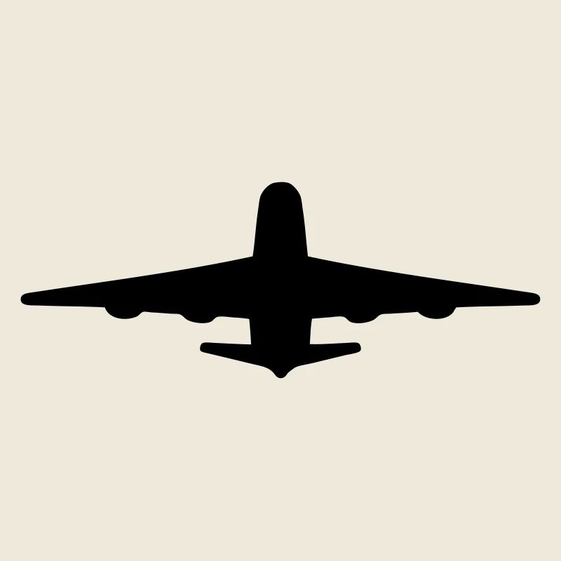 Verkehrsflugzeug, Flughafenpilot, Stewardess