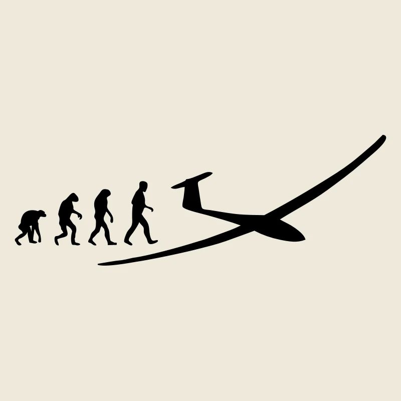 segelflugzeug evolution
