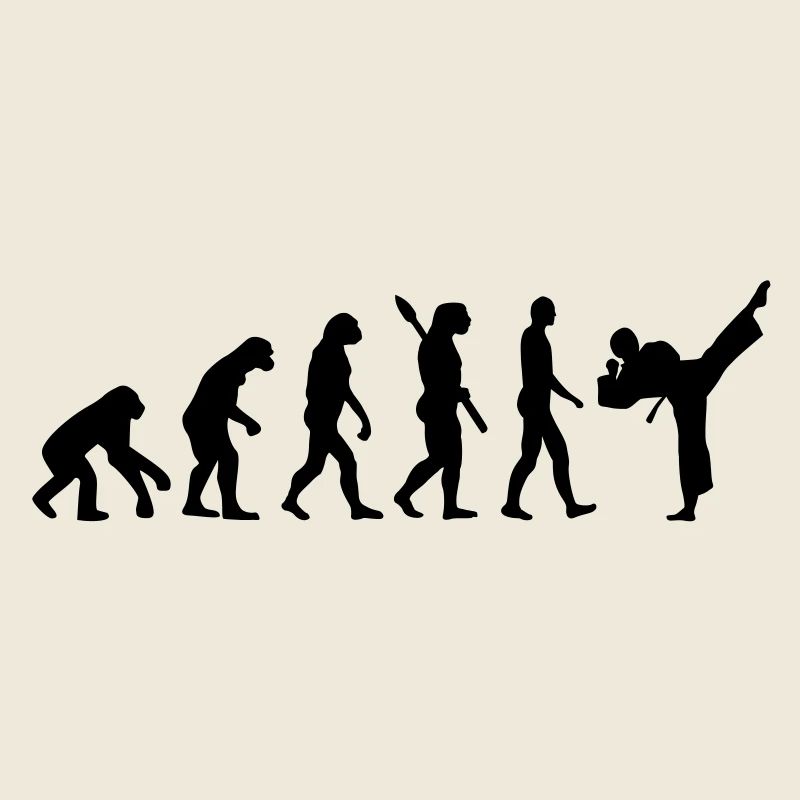 Evolution Karate