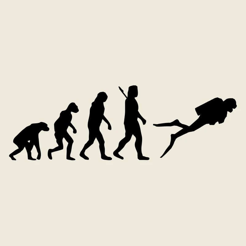 Evolution Tauchen