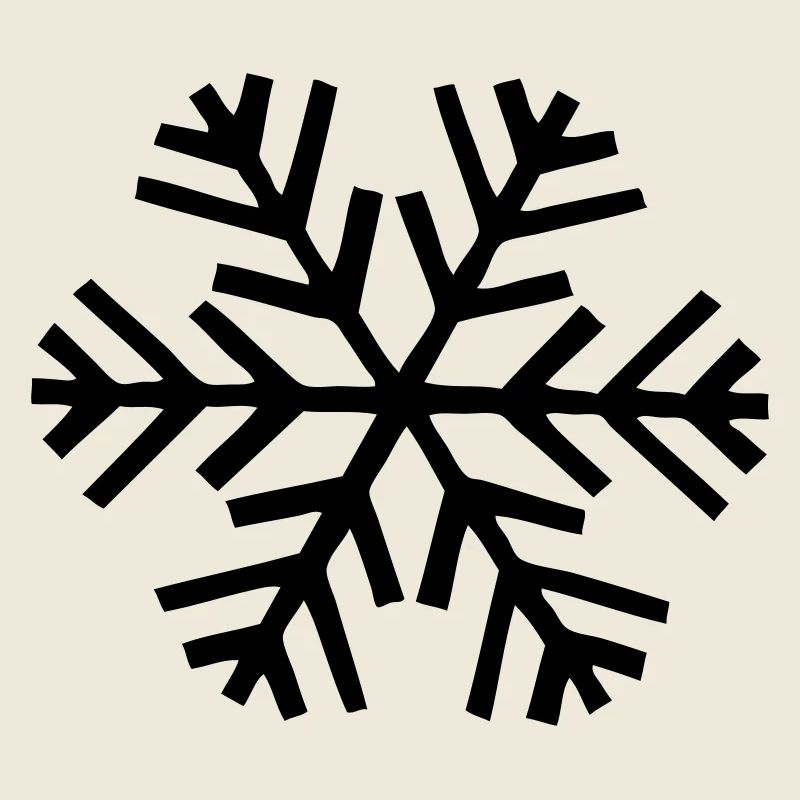 neige flocon de neige