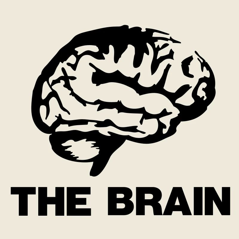 The Brain Design