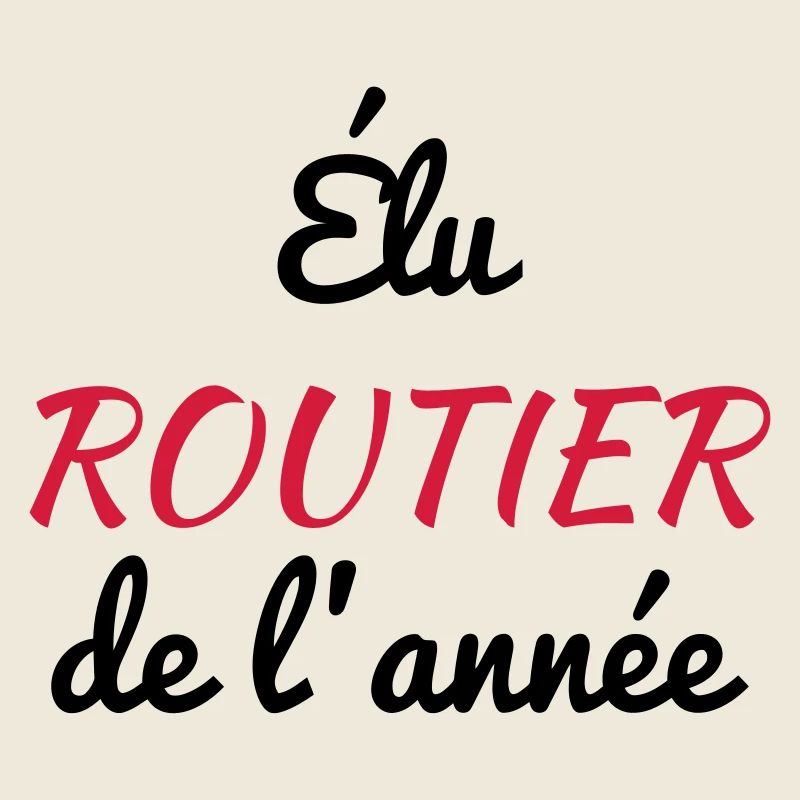 Routier / Chauffeur Poids-lourd / Camion /