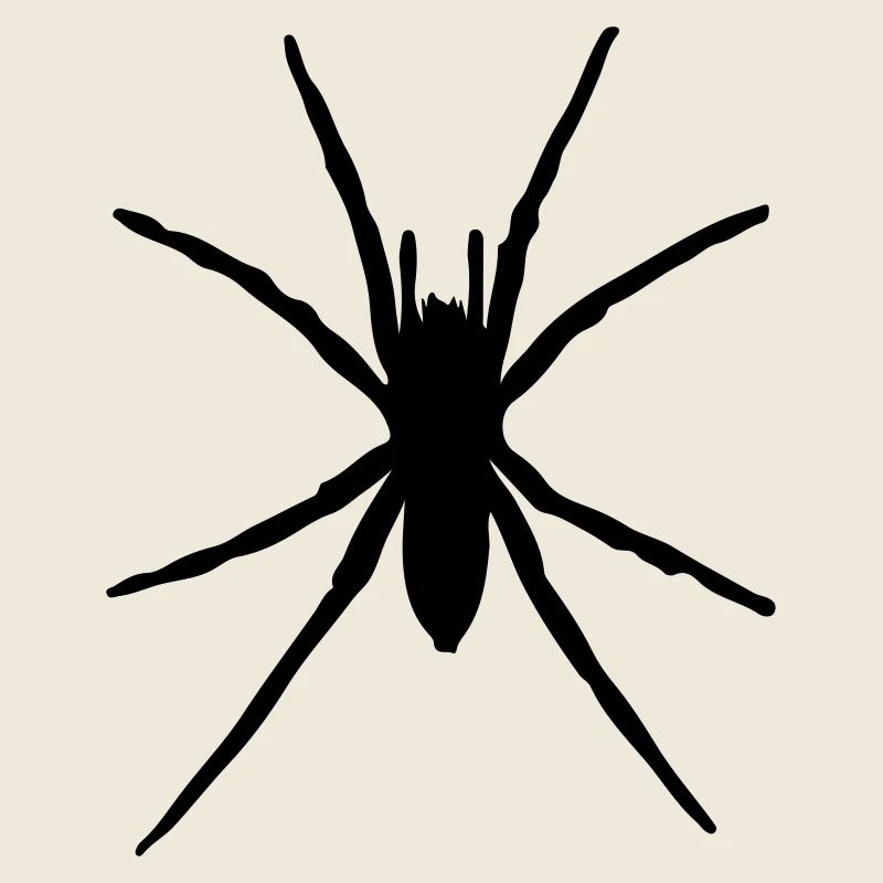 spider silhouette