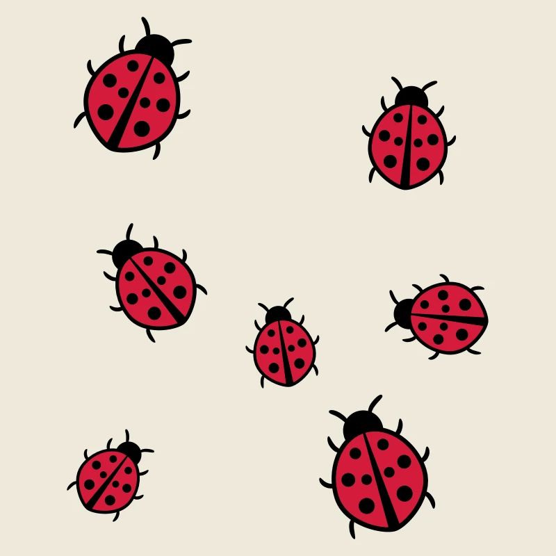 Petite Coccinelle